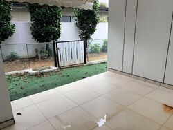 Stevens Road (D10), Terrace #609479801